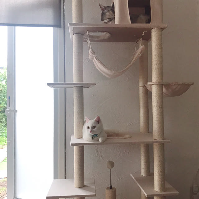 kotoriさんの実例写真