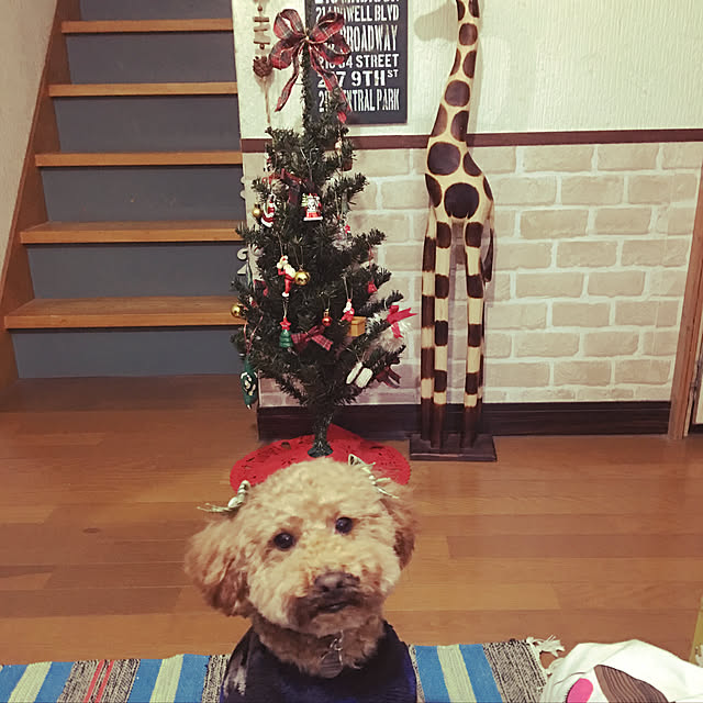 tommyさんの実例写真