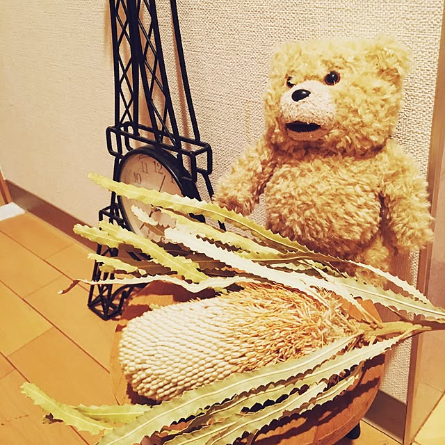 実例写真