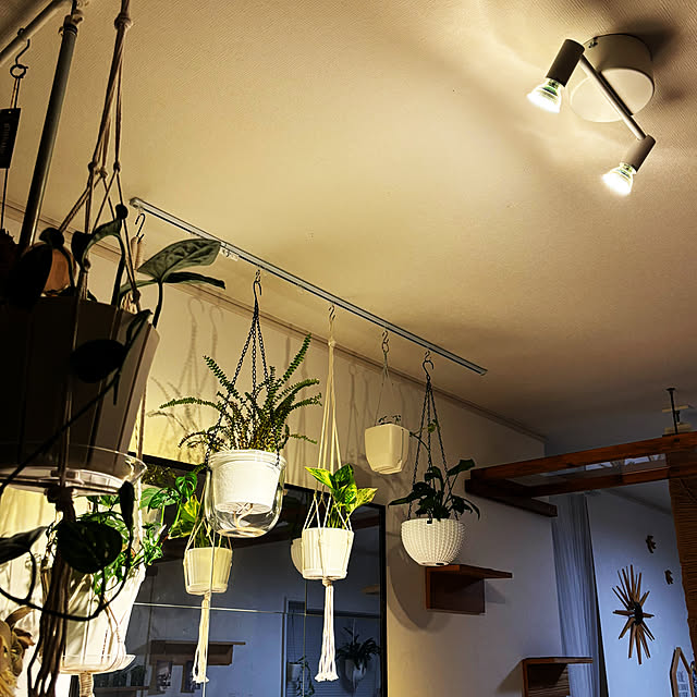 masamasaさんの部屋