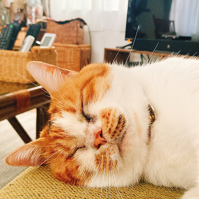mariさんの実例写真