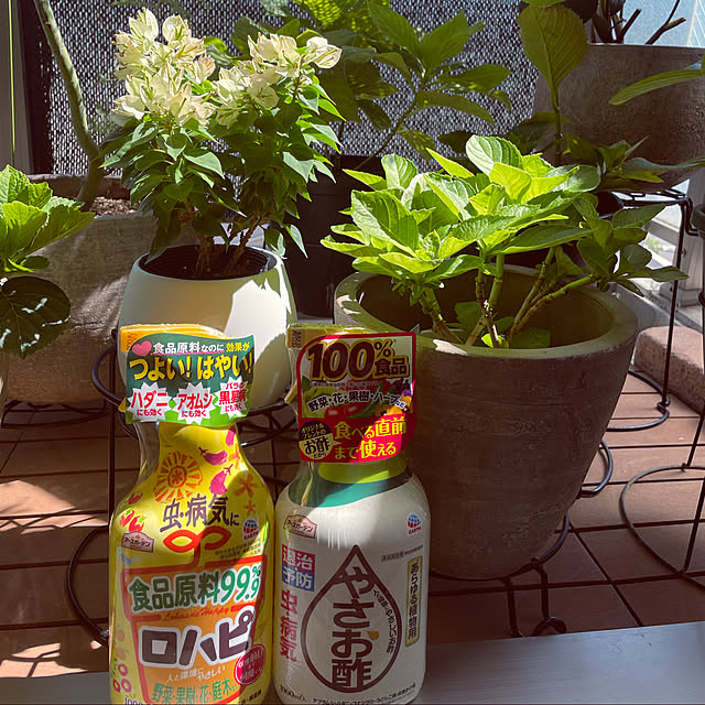 shihoさんの実例写真