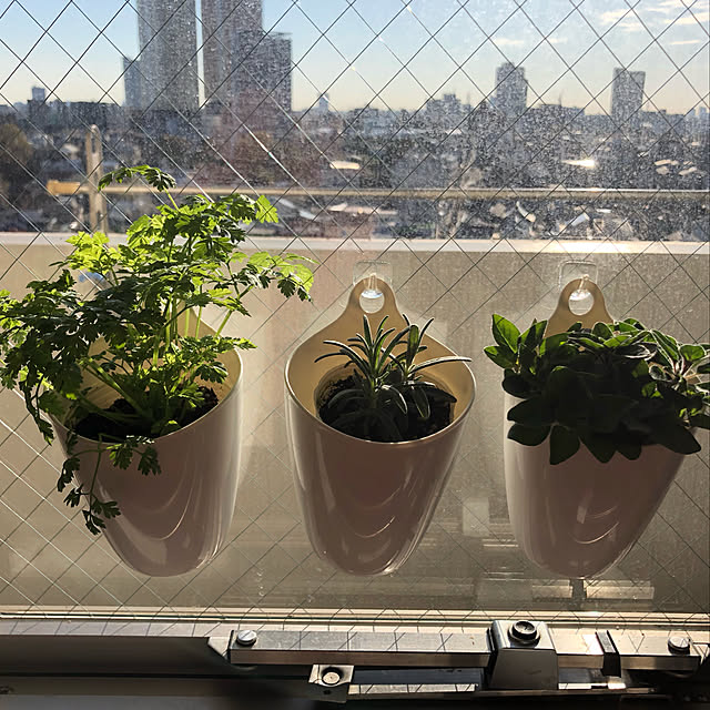 LEEさんの実例写真