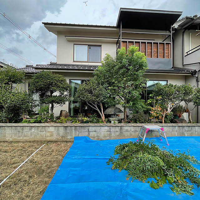 buchiさんの部屋