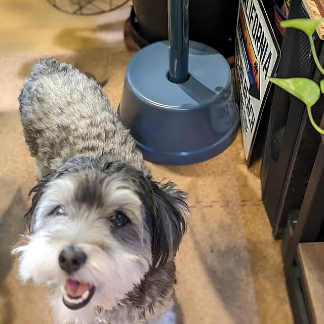 GINさんの部屋