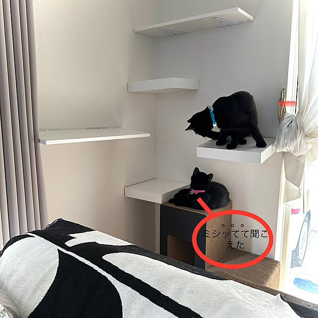 mi-miさんの部屋