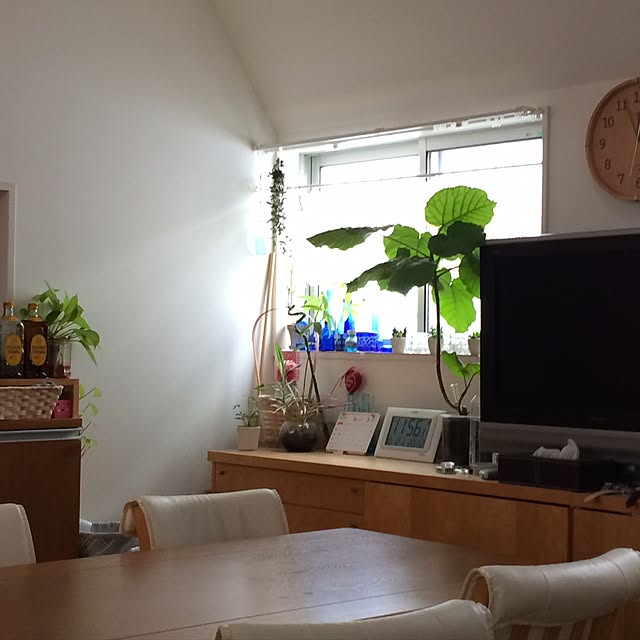 mochaさんの実例写真