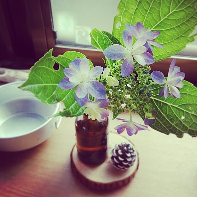 murasakihananaさんの実例写真