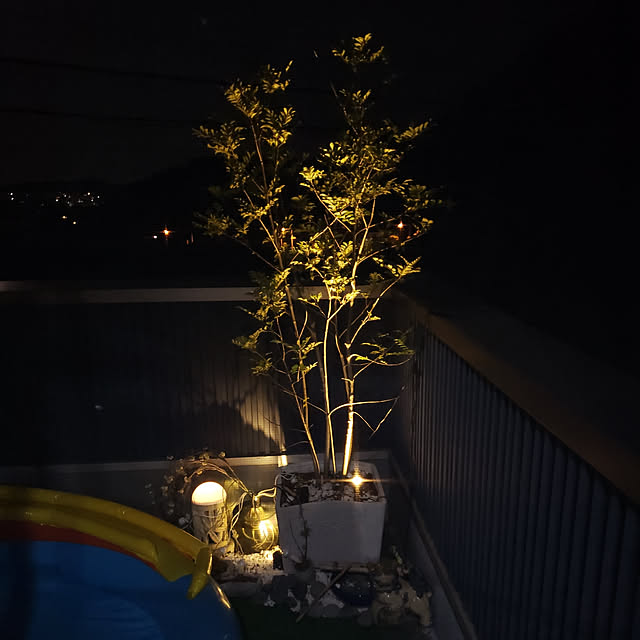 bonkiyoさんの実例写真