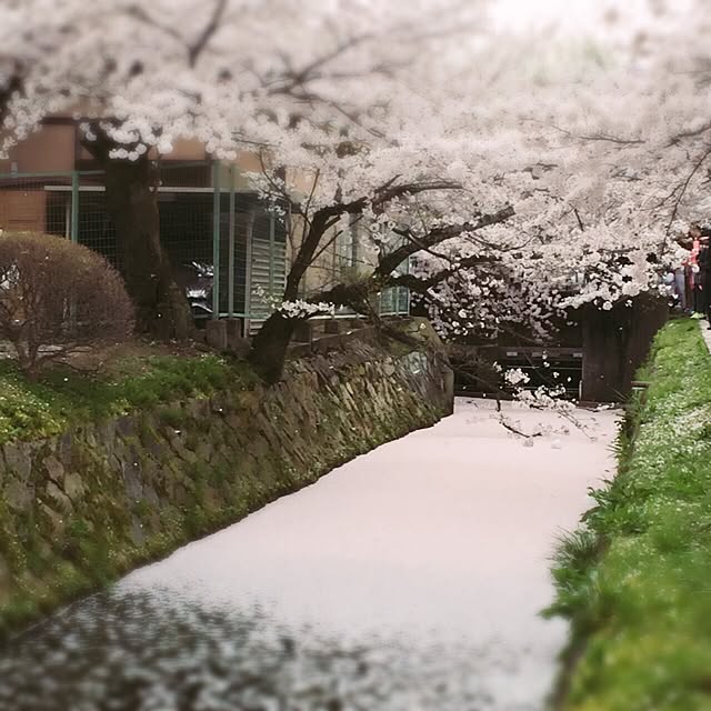 Sachanさんの実例写真