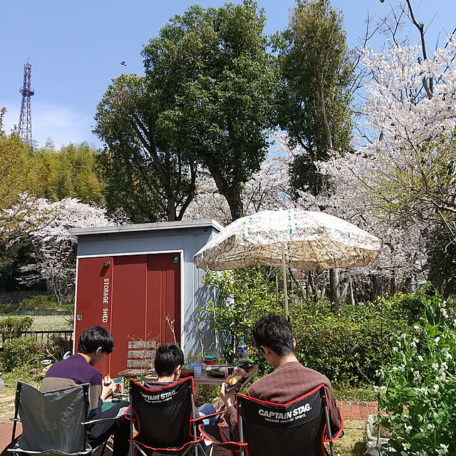 実例写真