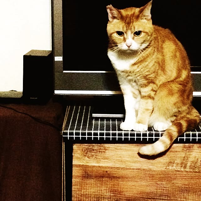 eikinukoさんの実例写真