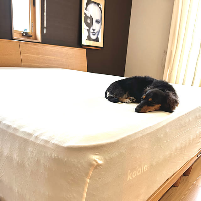 TOMOさんの実例写真