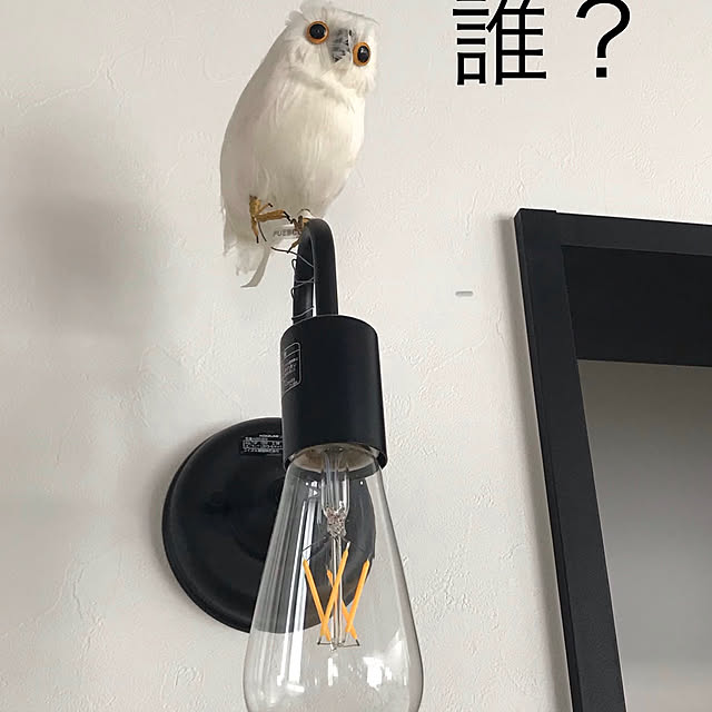 roko.homeさんの実例写真