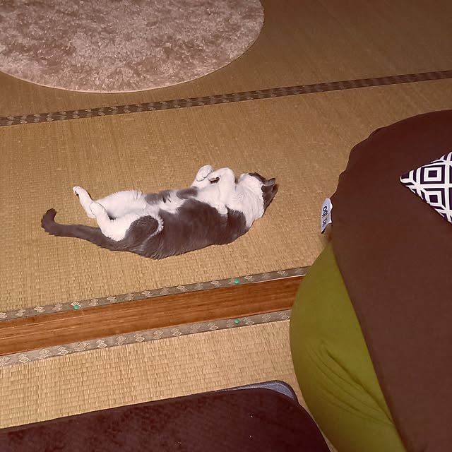 rhuさんの実例写真