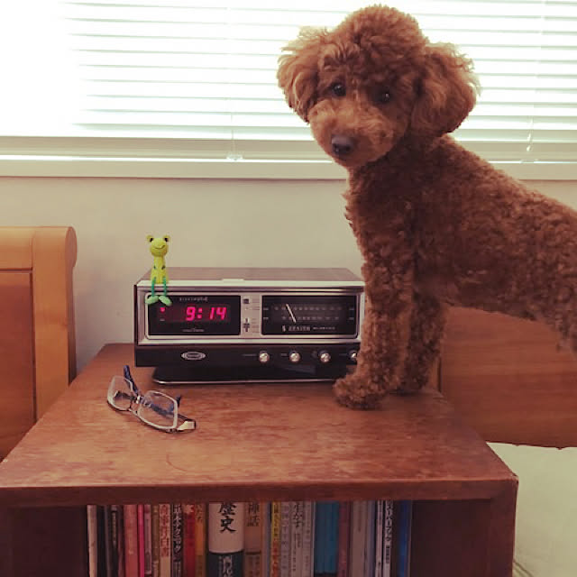 Hiroさんの実例写真