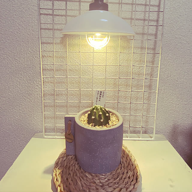 millkkyyさんの実例写真