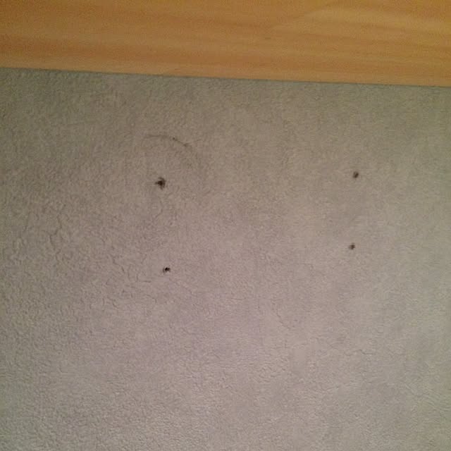 akinokoさんの実例写真