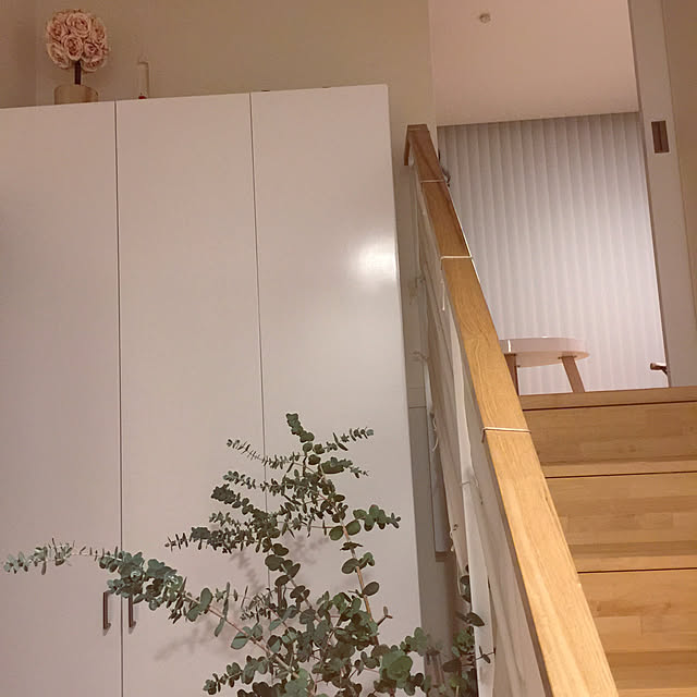 Runaさんの実例写真