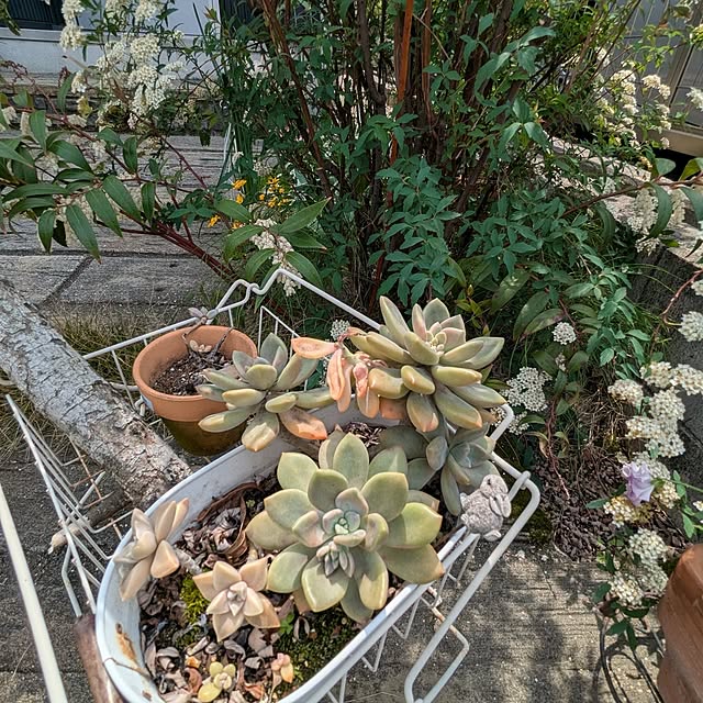 Ruii25さんの部屋