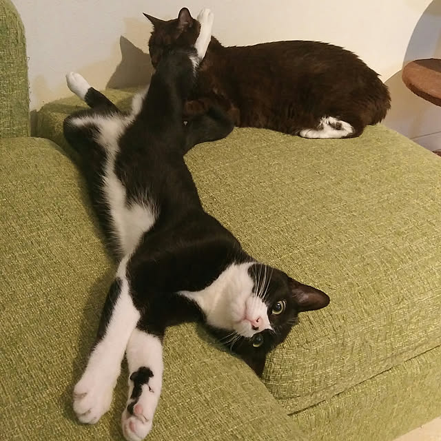 実例写真