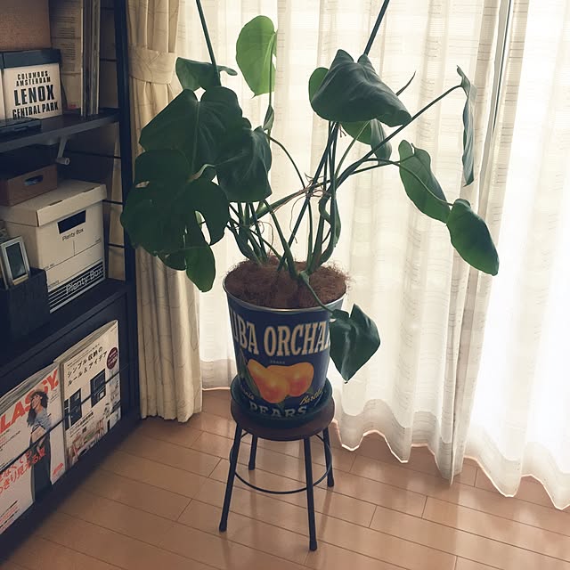 nanaさんの実例写真