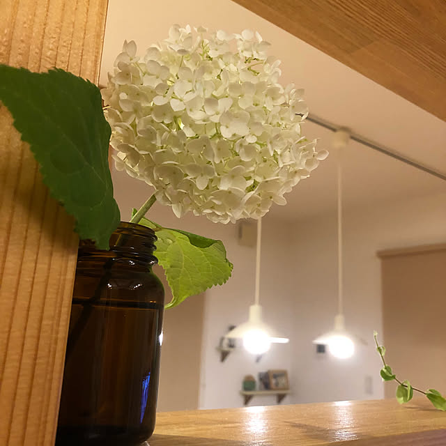 白と木が好き♡/ペンダントライト/一輪挿し/アナベル/花のある暮らし...などのインテリア実例 - 2021-06-12 20:35:33