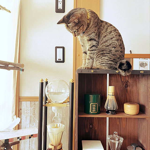 Mさんの実例写真