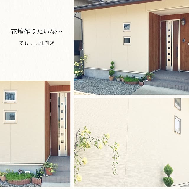 chiiyanさんの実例写真