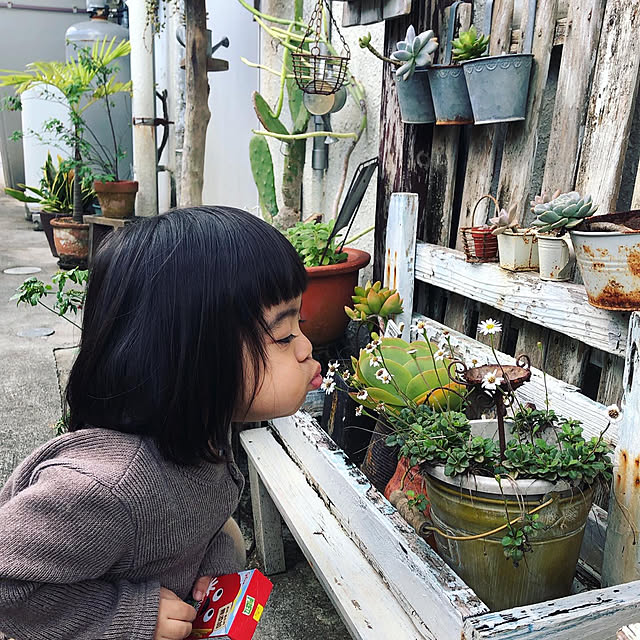 coraruさんの実例写真