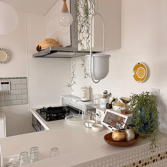 safariさんの実例写真