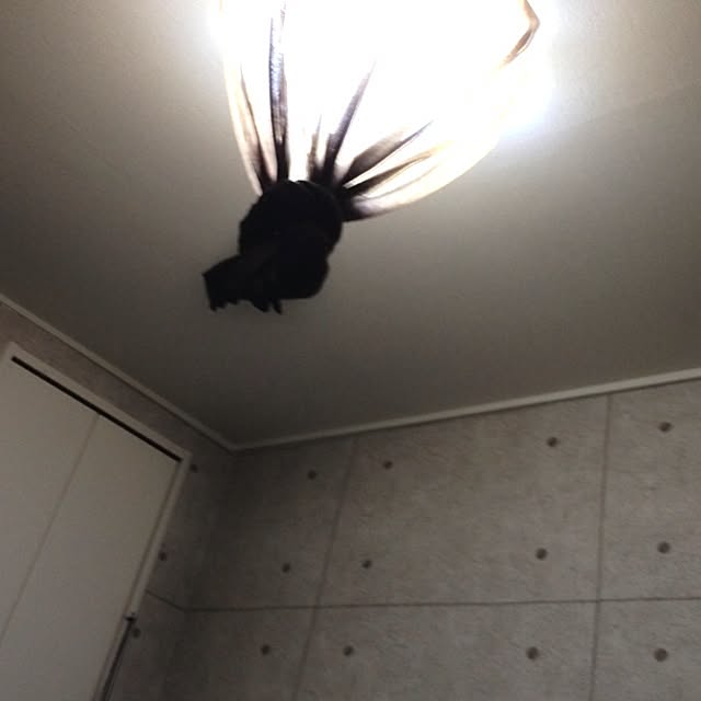 Yusukeさんの実例写真