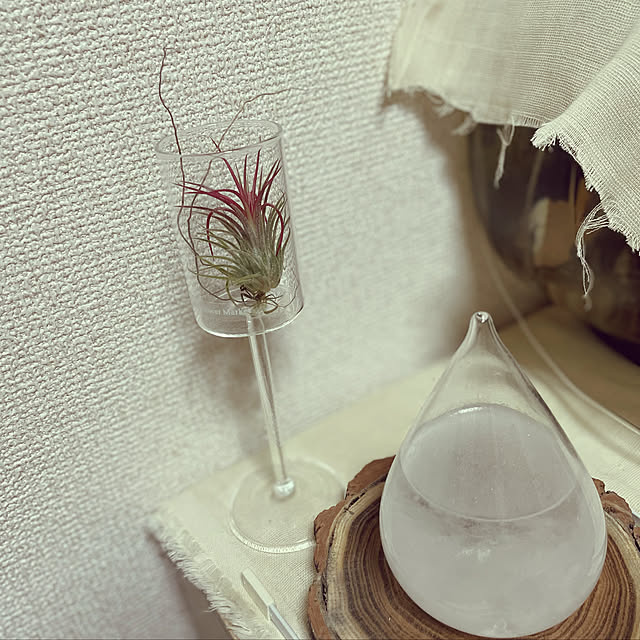 kamecoさんの実例写真