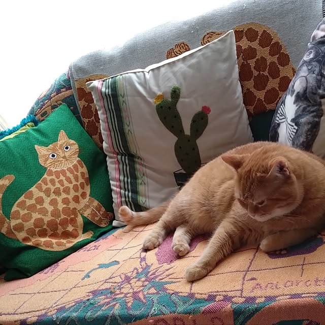 CHIKAさんの部屋