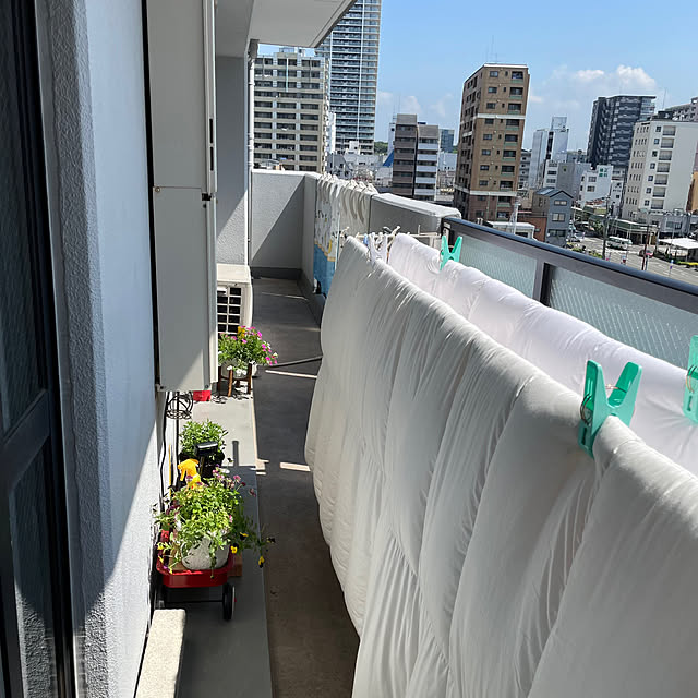 honpoさんの部屋
