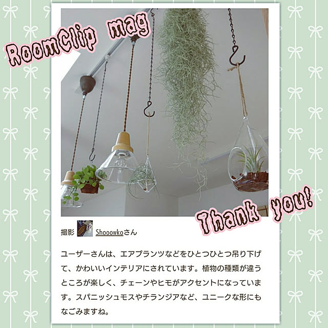 Shooowkoさんの実例写真