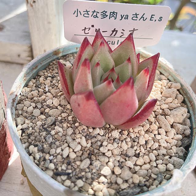 suzuayamamaさんの実例写真