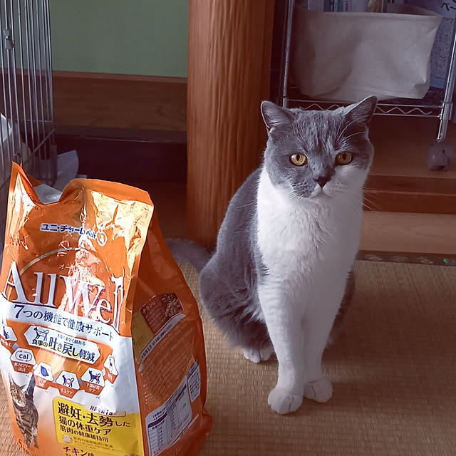 rhuさんの実例写真
