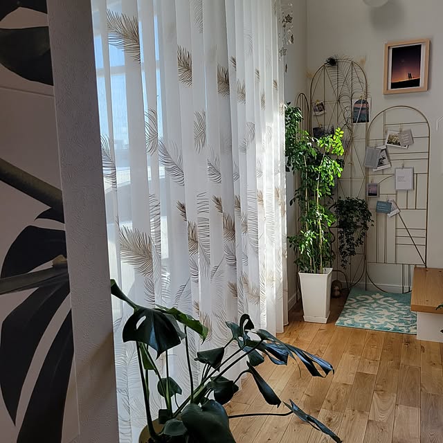 nonbiri_house_さんの部屋
