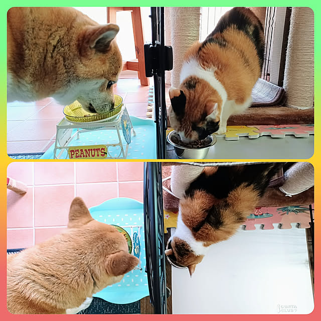 nanaさんの実例写真