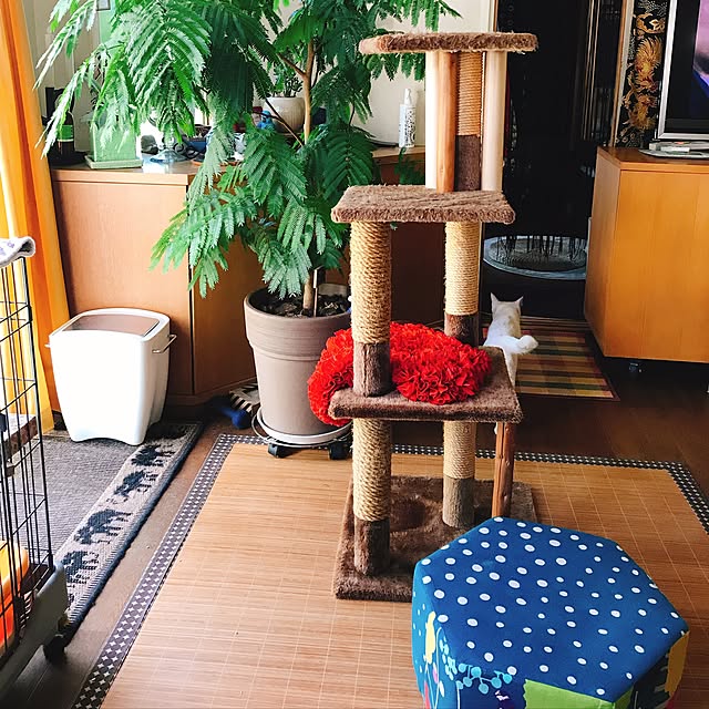 nyanko-beamさんの実例写真