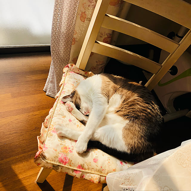 Lillyさんの実例写真