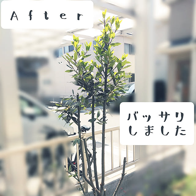 h.t.さんの実例写真