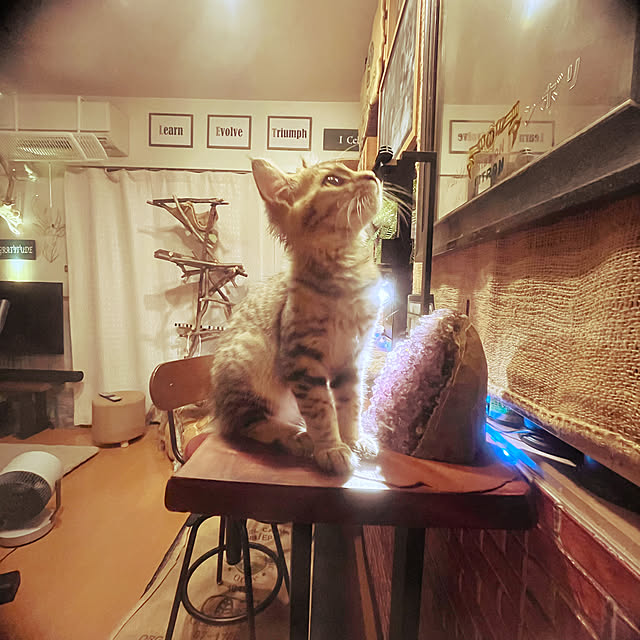 Mさんの実例写真