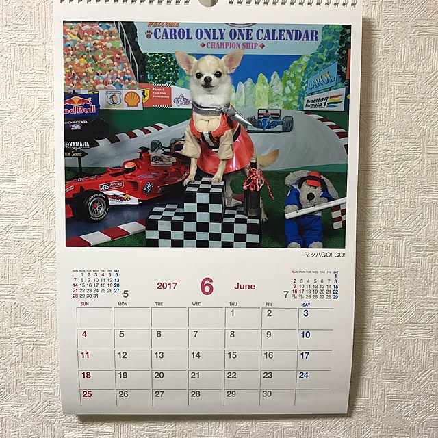 rosemaryさんの実例写真