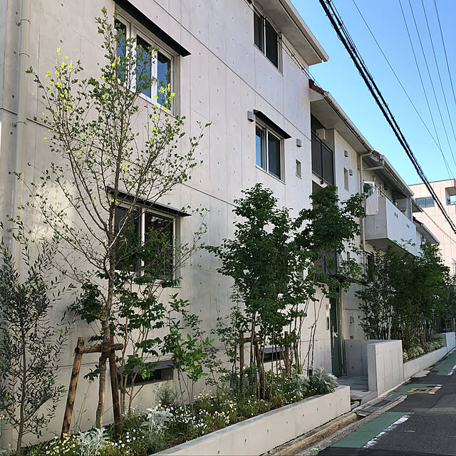 annaさんの実例写真
