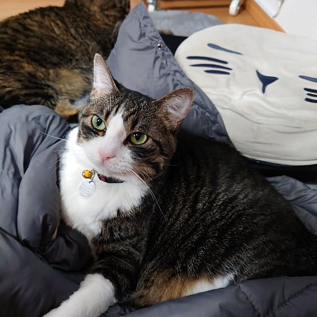 noguriさんの実例写真