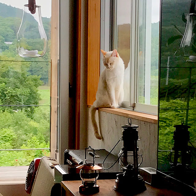 sakurasakuさんの実例写真