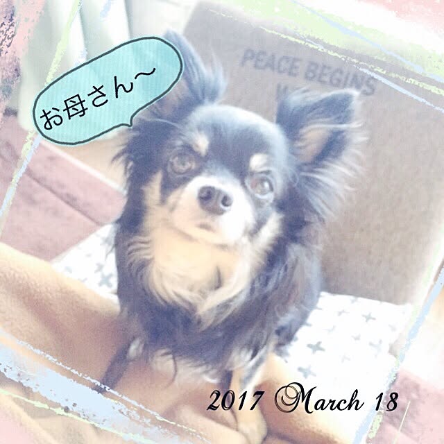 mockさんの実例写真