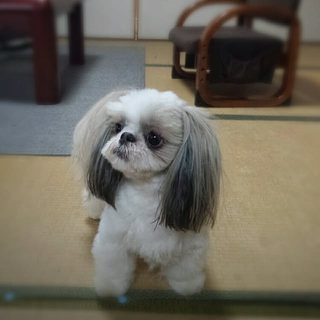 norikuuさんの実例写真